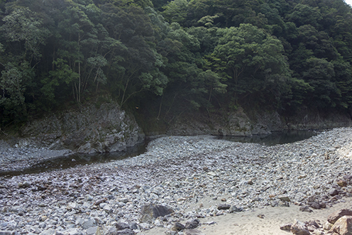 DSC01102.jpg