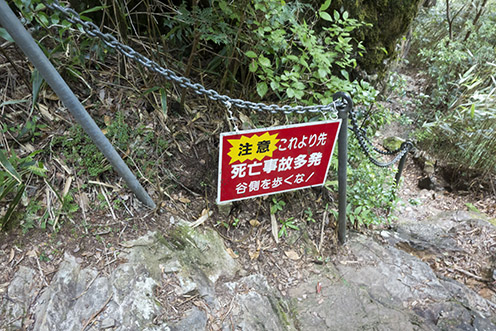 DSC01241.jpg