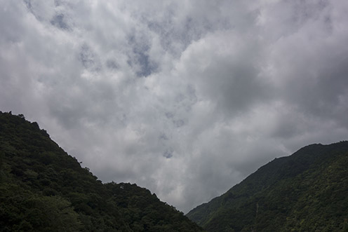 DSC01359.jpg