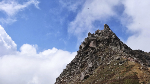 DSC08654.jpg