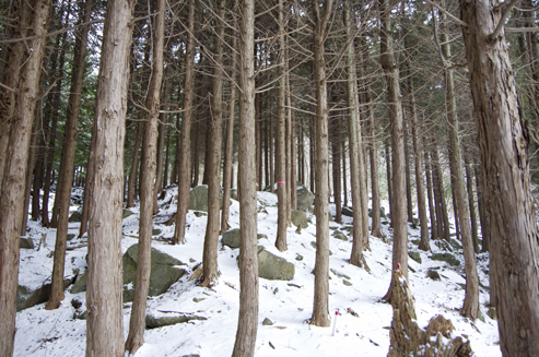 IMGP0026.jpg