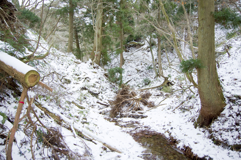 IMGP0038.jpg