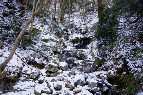 IMGP0062.jpg
