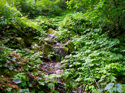 IMGP0286.jpg