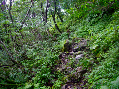 IMGP0288.jpg