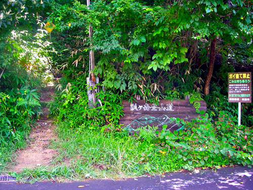 IMGP0289.jpg