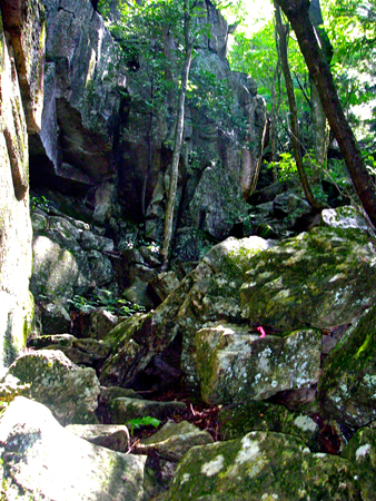 IMGP0291.jpg