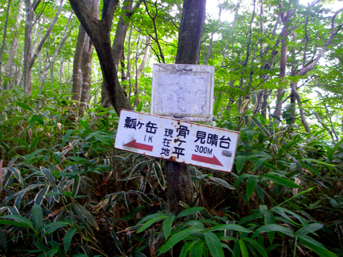 IMGP0295.jpg