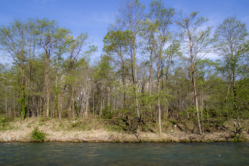 IMGP0302_20150514163154da8.jpg
