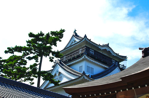 IMGP0343.jpg