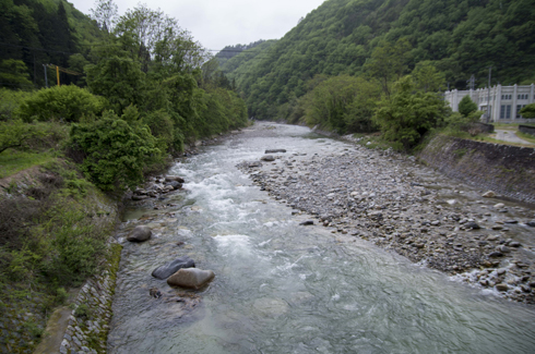 IMGP0379.jpg