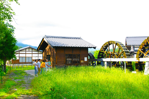 IMGP0463.jpg