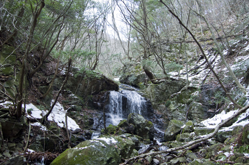 IMGP0496.jpg