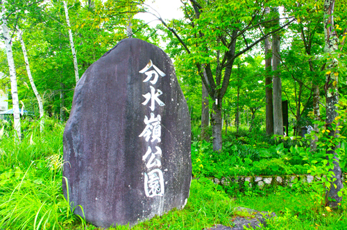 IMGP0513.jpg