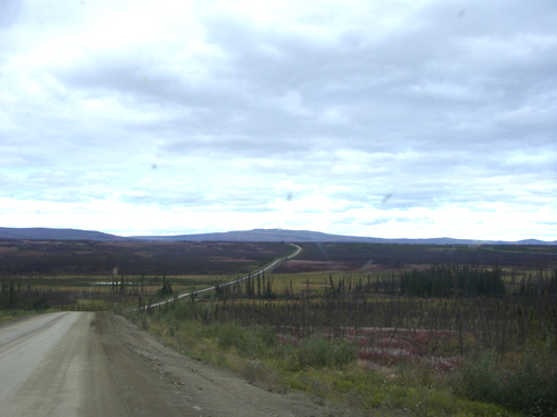 IMGP0526.jpg