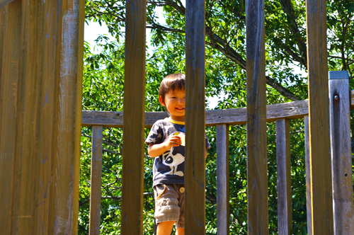 IMGP0583.jpg