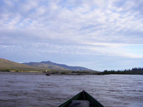IMGP0610.jpg