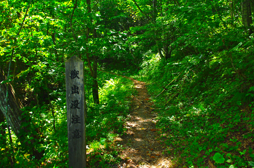 IMGP0613.jpg