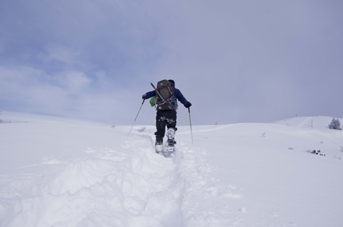 IMGP0676.jpg