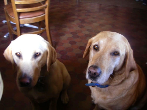 IMGP0829.jpg