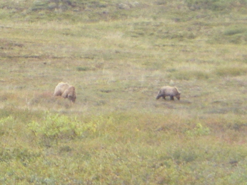 IMGP0950.jpg