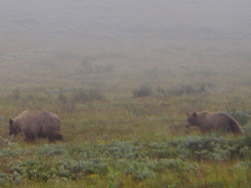 IMGP0975.jpg