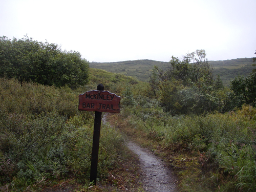 IMGP0996.jpg