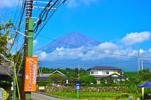 IMGP1046.jpg