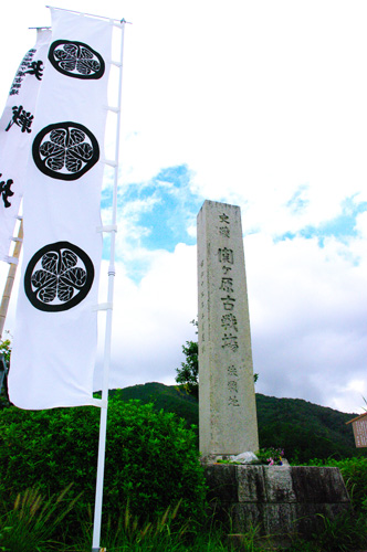 IMGP1061.jpg