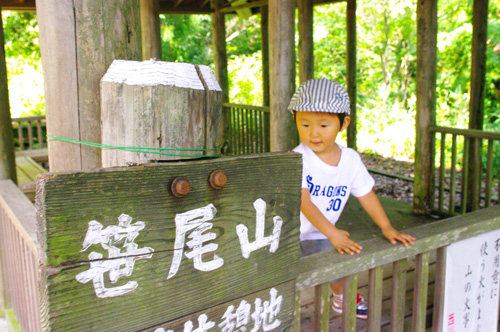 IMGP1095.jpg