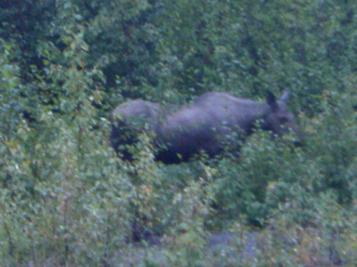IMGP1105.jpg