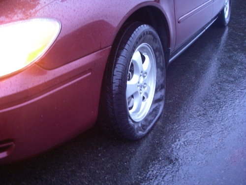 IMGP1107.jpg