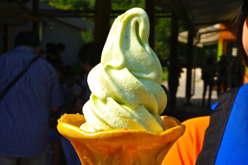 IMGP1127_20120823112425.jpg