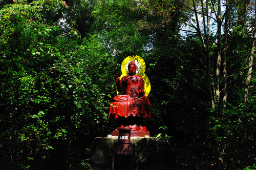 IMGP1155.jpg