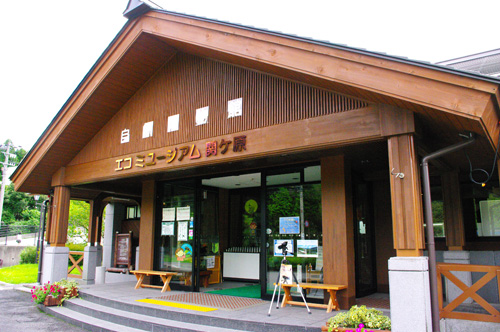 IMGP1188.jpg