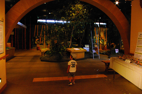 IMGP1189_20110922172224.jpg
