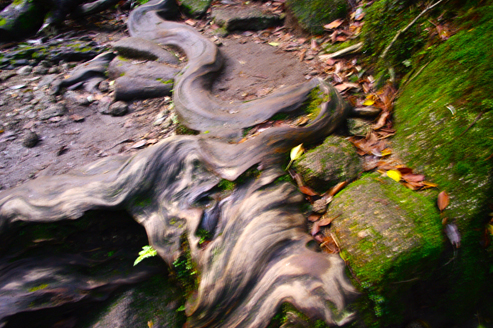 IMGP1204.jpg