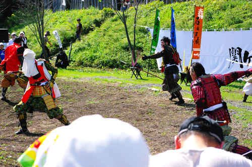 IMGP1220.jpg