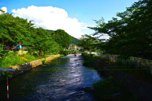 IMGP1265.jpg
