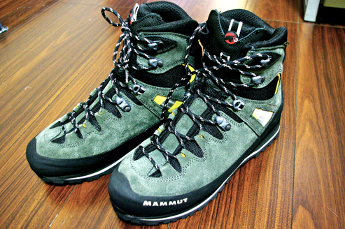 IMGP1355.jpg
