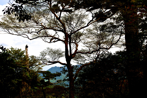 IMGP1415_20120620102018.jpg