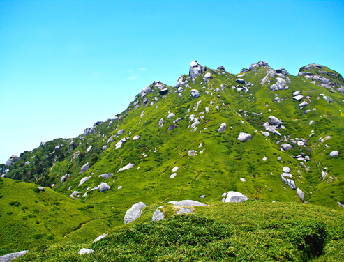 IMGP1537.jpg