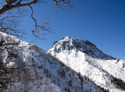 IMGP1560_20140303143128cc1.jpg