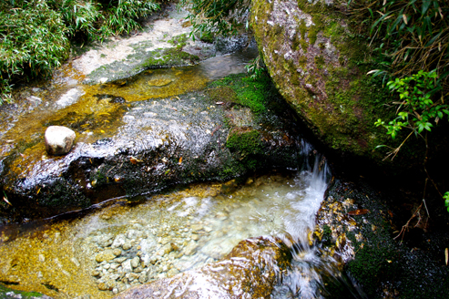 IMGP1581.jpg