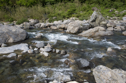 IMGP1587.jpg