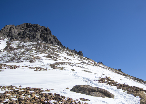 IMGP1653_20140303173549def.jpg