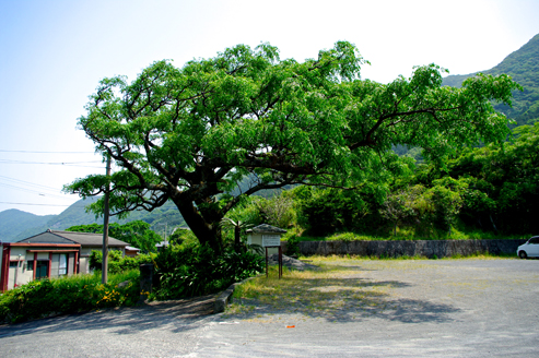 IMGP1747.jpg