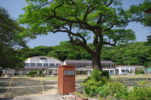 IMGP1917.jpg