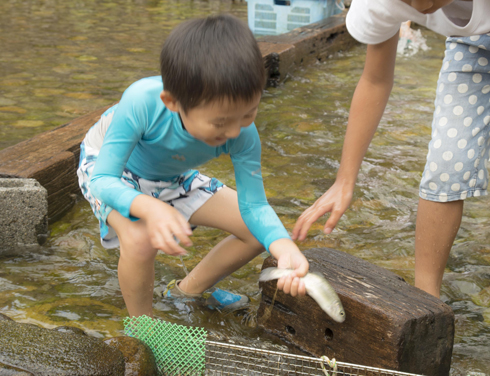 IMGP2016_20151001152638ce8.jpg