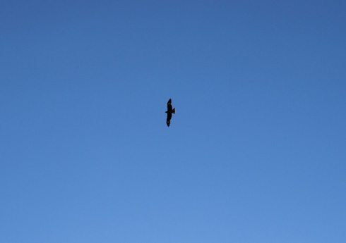 IMGP2043_201405221322230f3.jpg